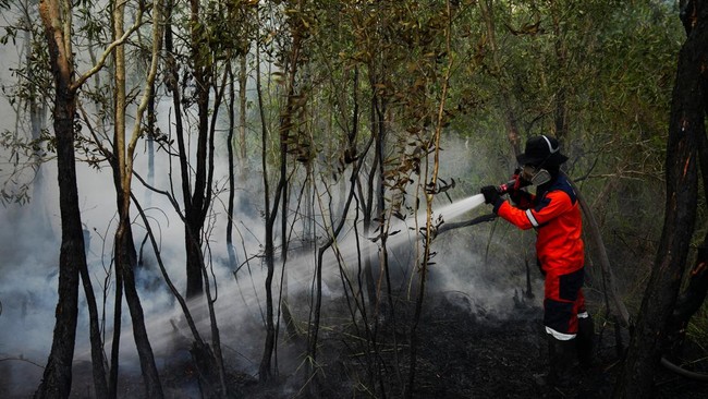 A firefighter sprays water in an attempt to extinguish fire at an area affected by the wildfire in Ogan Ilir regency, South Sumatra province, Indonesia, August 9, 2026. REUTERS/Abriansyah Liberto