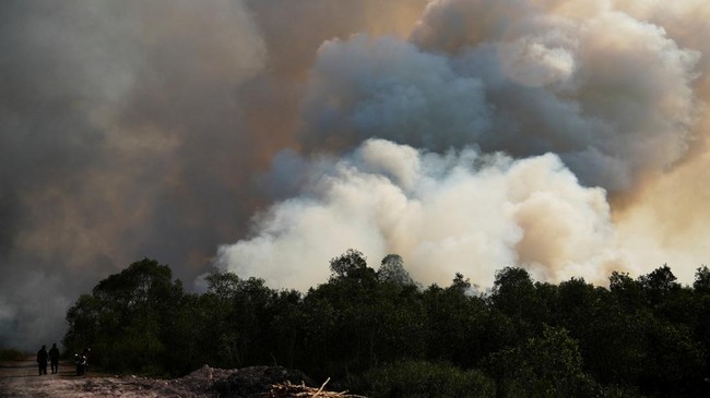 Military personnel walk as they observe an area affected by wildfire in Ogan Ilir regency, South Sumatra province, Indonesia, August 9, 2026. REUTERS/Abriansyah Liberto