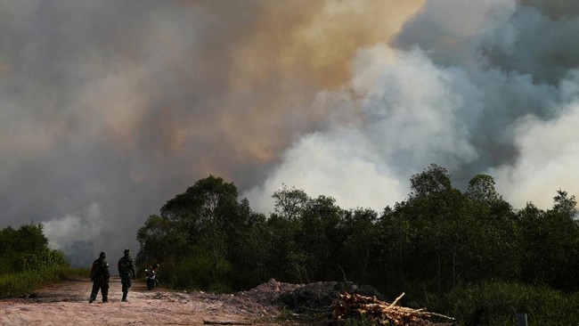 Soldiers walk as they observe an area affected by wildfire in Ogan Ilir regency, South Sumatra province, Indonesia, August 9, 2026. REUTERS/Abriansyah Liberto