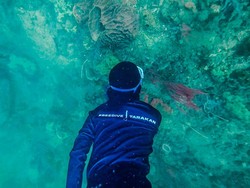 Penyelam Temukan Surga Karang Setara Maratua di Balik Keruhnya Laut Tarakan