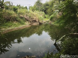 DLH Semarang Sebut Limbah Sungai Babon Dekat Pemotongan Ayam Lebihi Baku Mutu