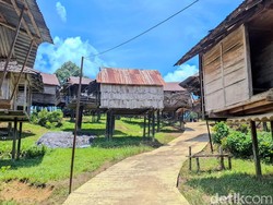 Melihat Lumbung Padi Dayak Uma Lung, Simbol Ketahanan Pangan dan Keadilan Sosial