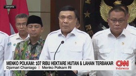 Menko Polkam: 107 Ribu Hektare Hutan & Lahan Terbakar
