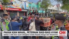 Pakan Kian Mahal, Peternak Bagi-Bagi Ayam