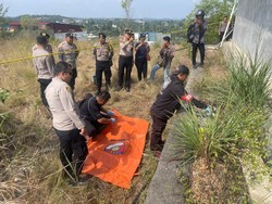 Kerangka Manusia Ditemukan Usai Kebakaran Lahan di Tanjungpinang