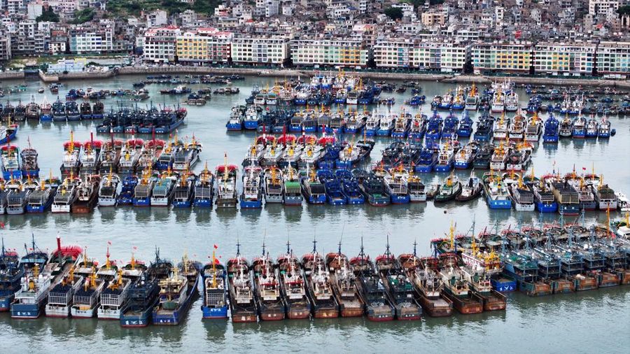 Sebuah pemandangan dari drone memperlihatkan beragam kapal nan sedang bersandar di Pelabuhan Perikanan Pusat Nasional Huangqi saat Topan Dolphin mendekat, di kota Huangqi, Lianjiang, Fuzhou, Provinsi Fujian, Tiongkok, pada 8 Agustus 2026.