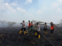 Polda Jambi Tangani 4 Kasus Karhutla, 5 Pelaku Ditangkap