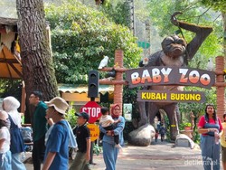 Taman Safari Jadi Tempat Favorit, Bisa Dekat dengan Satwa