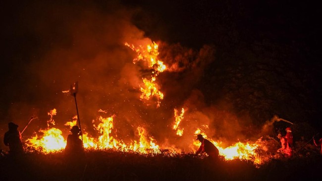 Petugas gabungan berupaya memadamkan kebakaran hutan di kawasan Taman Nasional Bromo Tengger Semeru (TNBTS), Kabupaten Pasuruan, Jawa Timur, Minggu (9/8/2026). Upaya pemadaman di kawasan terdampak dilakukan melalui jalur darat dan udara dengan menger