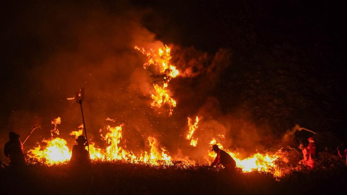 BNPB Sebut Karhutla di Kawasan Bromo Tinggal 2 Titik Api