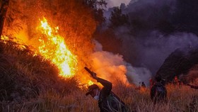 Petugas gabungan berupaya memadamkan kebakaran hutan di kawasan Taman Nasional Bromo Tengger Semeru (TNBTS), Kabupaten Pasuruan, Jawa Timur, Minggu (9/8/2026). Upaya pemadaman di kawasan terdampak dilakukan melalui jalur darat dan udara dengan menger