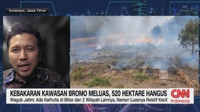 Wagub Jatim Ungkapkan Penyebab Kebakaran Bromo