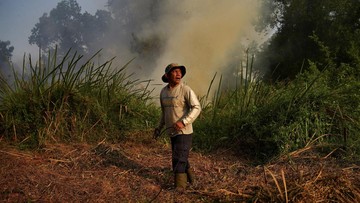 Pakar Bicara Hubungan El Nino dan Karhutla di Sejumlah Wilayah RI