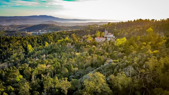 Beauty of the landscapes whose exponent is the Serra do Buçaco waters, wines and gastronomy make this region famous
