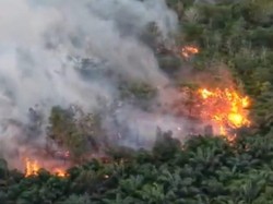 Bupati Kobar Tetapkan Tanggap Darurat Karhutla