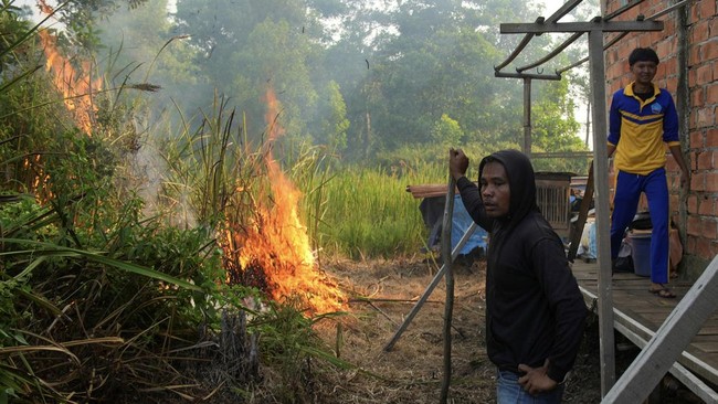 Karhutla di Palembang Capai Pemukiman Warga