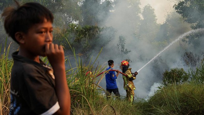 Karhutla di Palembang Capai Pemukiman Warga