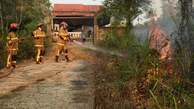Karhutla di Palembang Capai Pemukiman Warga