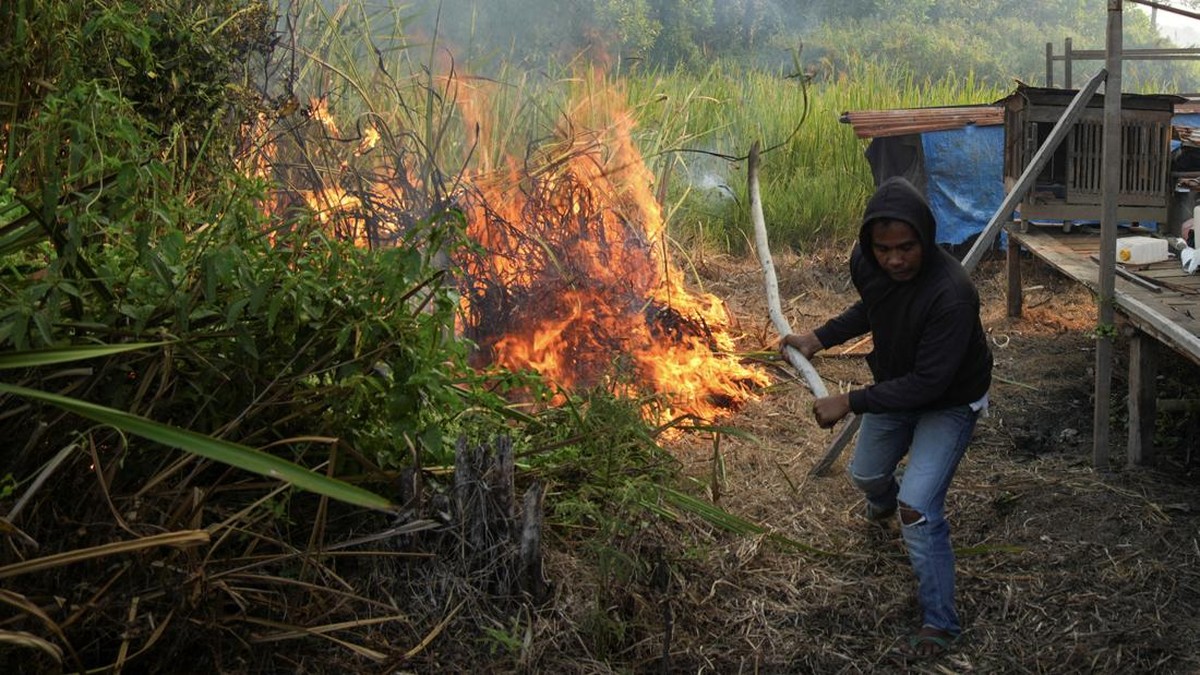 Karhutla di Palembang Capai Pemukiman Warga