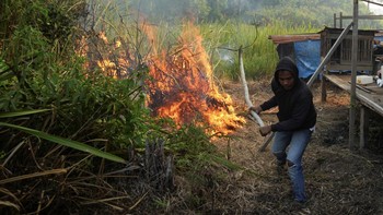 Karhutla di Palembang Capai Pemukiman Warga