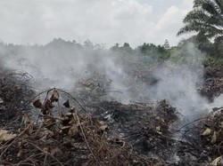 Karhutla Terjadi Tiap Hari di Kubar, Salah Satu Pemicunya Musim Bakar Ladang