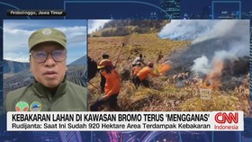 Kebakaran Lahan Di Kawasan Bromo Terus 'Mengganas'
