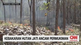 Kebakaran Landa Hutan Perhutani