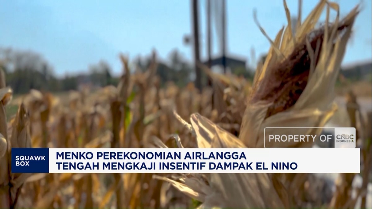 Video: Menko Perekonomian Tengah Mengkaji Insentif Dampak El Nino