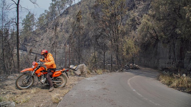 Petugas berjaga di jalur wisata pasca kebakaran di kawasan Taman Nasional Bromo Tengger Semeru (TNBTS), Kabupaten Pasuruan, Jawa Timur, Senin (10/8/2026). Balai Besar TNBTS menutup seluruh akses masuk kawasan wisata Bromo sejak Sabtu (8/8/2026) pukul