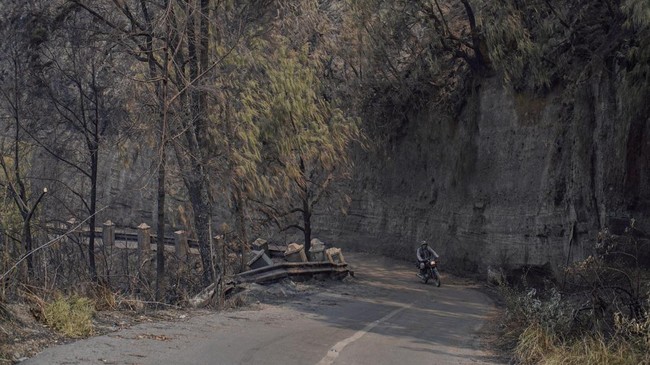 Petugas melintasi jalur wisata pasca kebakaran di kawasan Taman Nasional Bromo Tengger Semeru (TNBTS), Kabupaten Pasuruan, Jawa Timur, Senin (10/8/2026). Balai Besar TNBTS menutup seluruh akses masuk kawasan wisata Bromo sejak Sabtu (8/8/2026) pukul