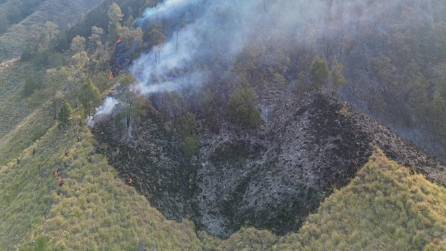 Foto udara kebakaran hutan di Tengger Semeru (TNBTS), Kabupaten Pasuruan, Jawa Timur, Senin (10/8/2026). Balai Besar TNBTS menutup seluruh akses masuk kawasan wisata Bromo sejak Sabtu (8/8/2026) pukul 22.00 WIB akibat perkembangan kebakaran hutan dan