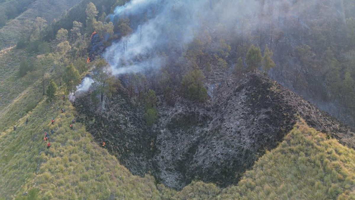 Bromo Kebakaran Lagi, Sebagian Akses Wisata Ditutup Sementara
