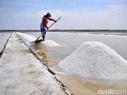 Getirnya Harga Garam bagi Para Petani di Sampang