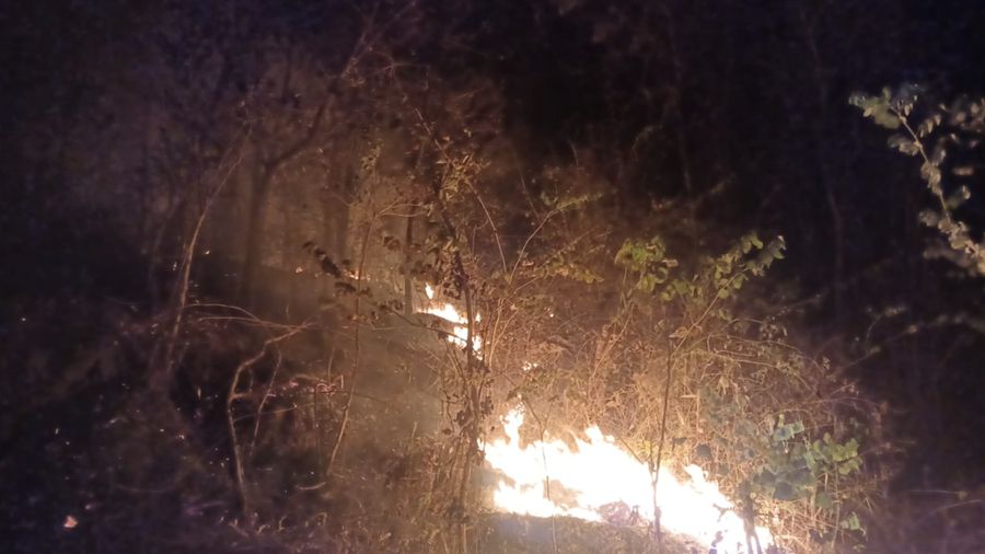 Petugas berupaya memadamkan api nan membakar Bukit Pindul, Dukuh Girisono RT 03 RW 05, Desa Gunung Gajah, Kecamatan Bayat, Kabupaten Klaten, Provinsi Jawa Tengah pada Senin (10/8). (Dok. BPBD Kab. Klaten)