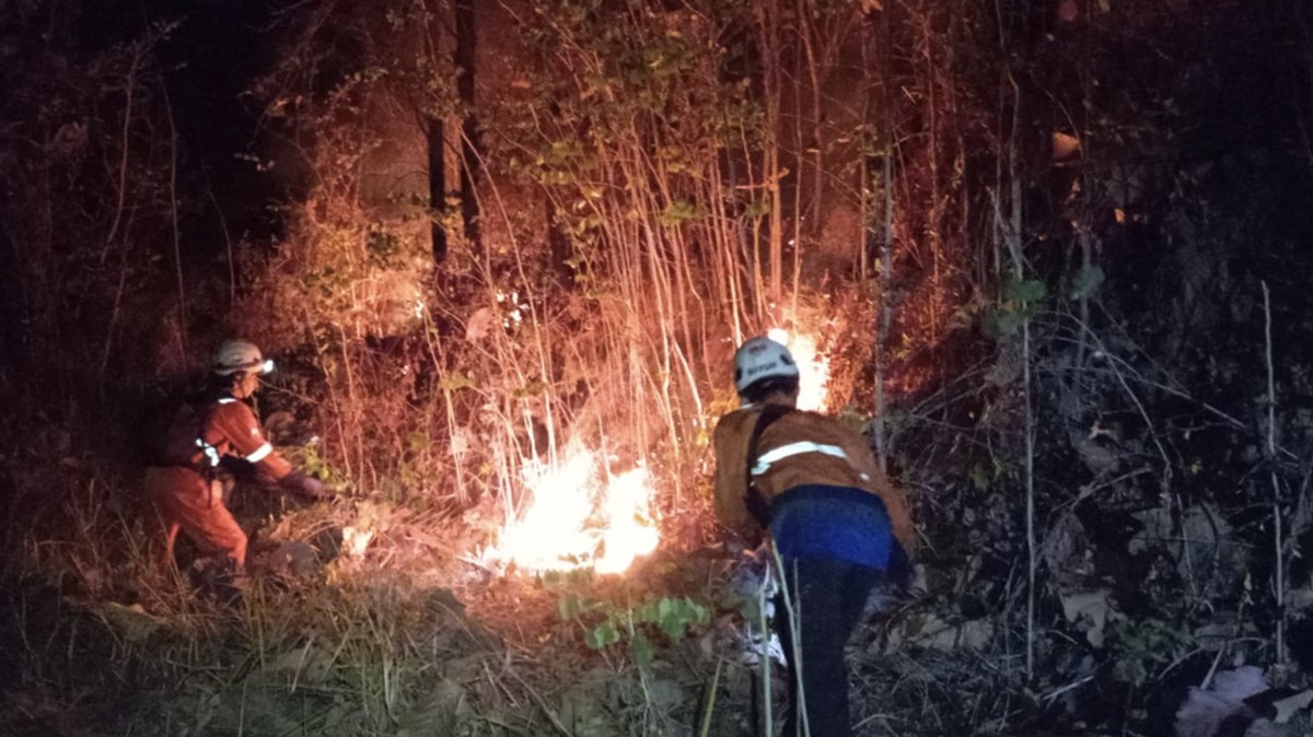 Panas Mendidih Bawa Petaka, RI Kebakaran dari Sumatra-Papua Ribuan Ha