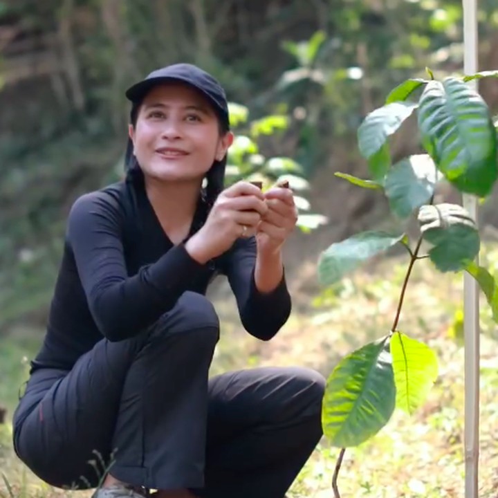 <p>Dalam video yang diunggahnya, Prilly terlihat menanam pohon hingga sampai ke pohon kopi ke-270. Perempuan 29 tahun ini juga menyempatkan diri untuk menumbuk biji kopi dan menikmati kopi. (Foto: Instagram @prillylatuconsina96)</p>
