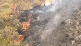 Karhutla Bromo Meluas Hingga 899 Hektare
