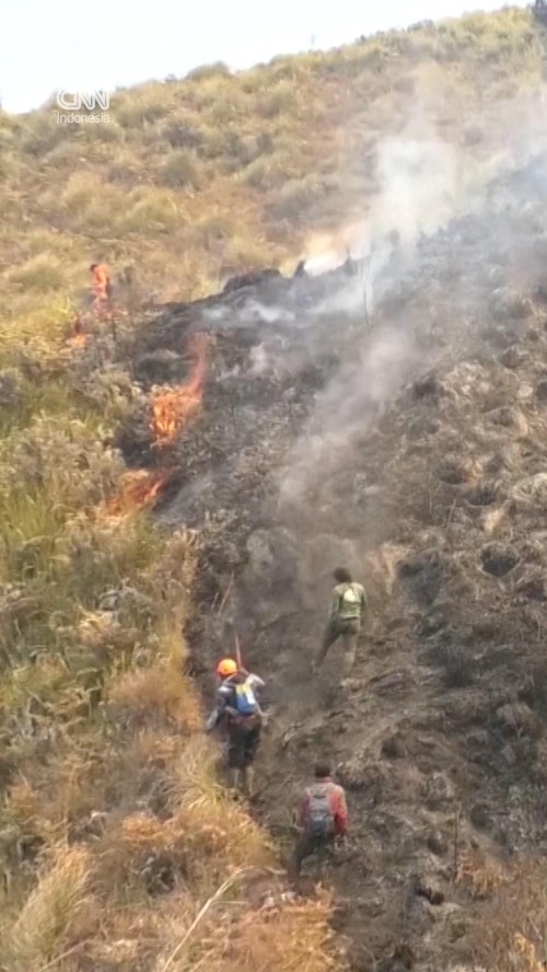 Karhutla Bromo Meluas Hingga 899 Hektare