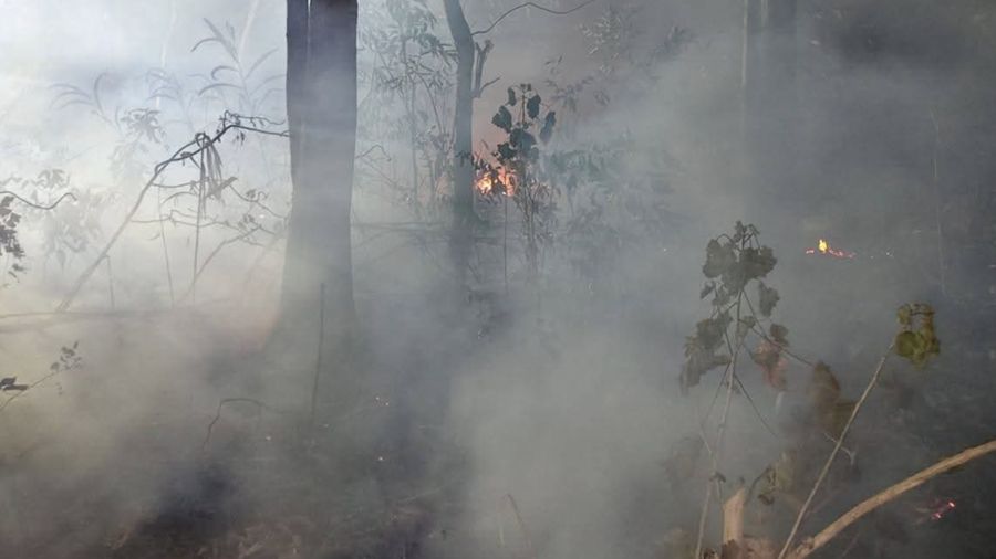 Upaya petugas campuran dalam memadamkan api nan membakar area bukit di Dusun Waililan, Negeri Bula, Kecamatan Bula, Kabupaten Seram Bagian Timur, Provinsi Maluku, Senin (10/8). (Dok. BPBD Kab. Seram Bagian Timur)