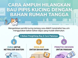 4 Bahan Ini Bisa Bersihkan Pipis Kucing Sampai Tak Berbau Lagi