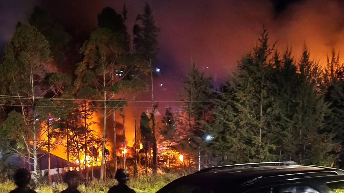 7 Kantor Pemerintahan Puncak Papua Dibakar Massa