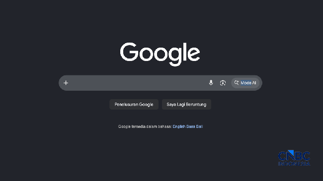 Homepage Google Search