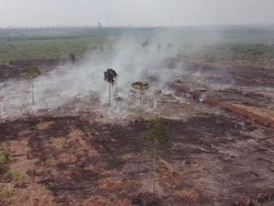 Polda Riau Tetapkan 2 Tersangka Kasus Karhutla di Area HGU Bengkalis