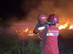 Karhutla Landa Berau, Kasus Terbanyak di Kecamatan Pulau Derawan