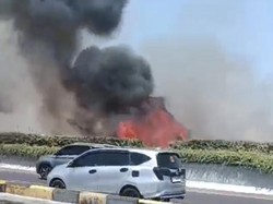 Alang-alang Kering Terbakar di Tamalanrea Makassar, Nyaris Kena Pergudangan