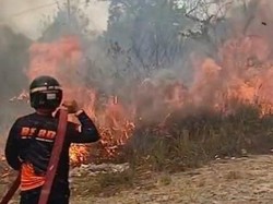Karhutla di Kobar: 323 Hektare Lahan Hangus dan 300 Hotspot Terdeteksi