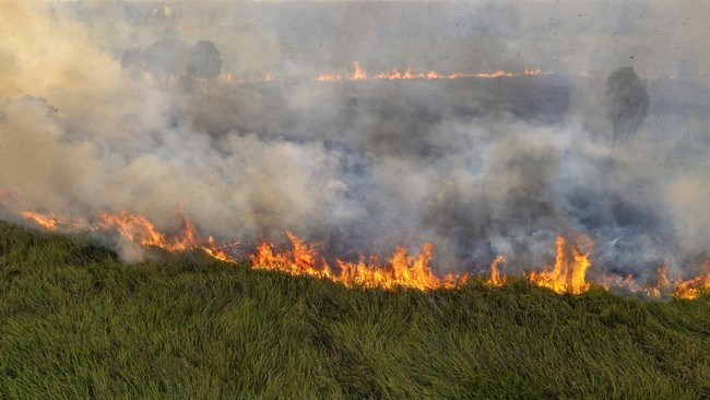 Upaya Pemadaman Kebakaran Lahan di Kertapati Palembang