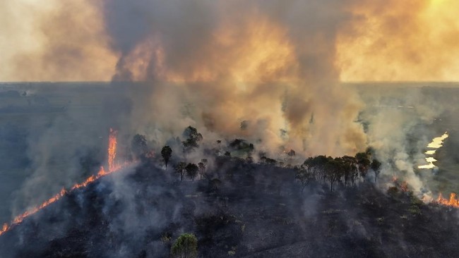 Upaya Pemadaman Kebakaran Lahan di Kertapati Palembang