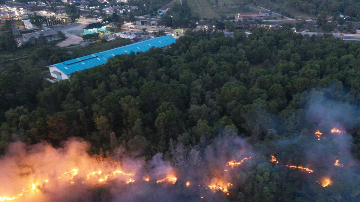 FOTO: Upaya Pemadaman Karhutla di Kertapati Palembang