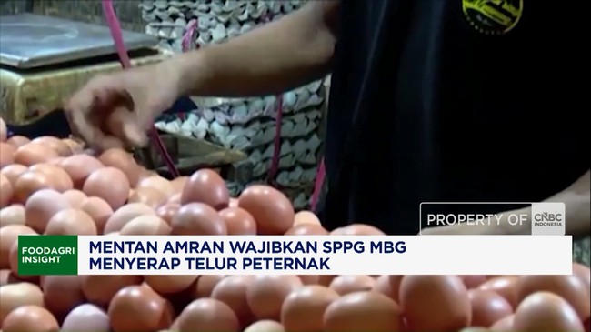 Video: Mentan Amran Wajibkan SPPG MBG Menyerap Telur Peternak